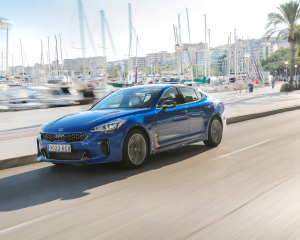 Kia Stinger blue dynamic  (3)